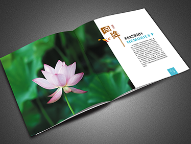 射阳湖人民医院画册