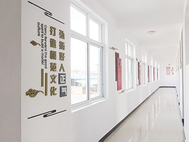 社区文化环境 整体设计升级