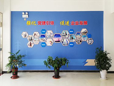 泰和电力企业文化建设 设计施工